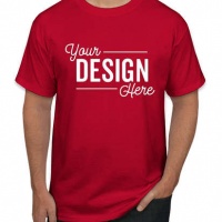 Hanes Authentic T-shirt